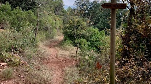 El Club BTT Montblanc manté 5,9 km de senders i camins històrics del terme municipal