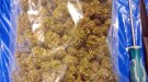 Detingut un jove de Santa Coloma de Queralt per portar gairebé 400 grams de marihuana i conduir sense permís 