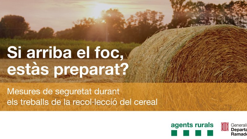 L'operatiu de suport i vigilància de la Campanya de la Sega 2019, en marxa
