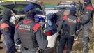 Onze detinguts en una macrooperació policial a l’Alt Camp, la Conca de Barberà i l’Alt Penedès contra un entramat de cultiu de marihuana