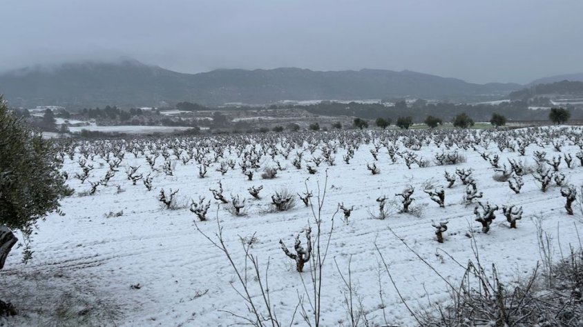 La Conca de Barberà es desperta nevada