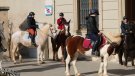 Diumenge, festa de Sant Antoni Abat a l’Espluga de Francolí