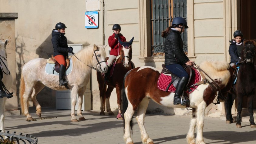 Imatges de l'any passat