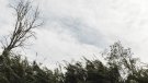 Prudència amb el fort vent que farà la nit de dimecres a dijous especialment al sud de Catalunya