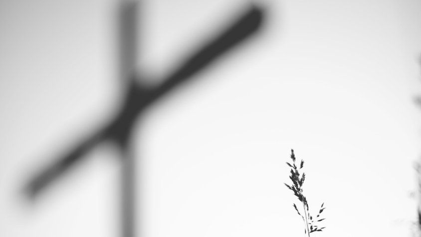 Actualitzem-nos
