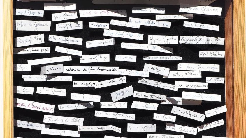 Insectari epistolar