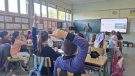 Les escoles de Montblanc investiguen la biodiversitat dels seus patis amb el projecte de la Cooperativa Reboll