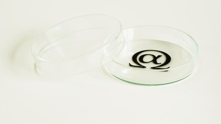 Fecundació in vitro