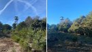 Comença la segona fase del projecte Mosaics de Biodiversitat a Montblanc i Vimbodí i Poblet
