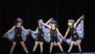 DansAra celebra el Dia Internacional de la Dansa amb una mostra dels grups del centre