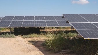 La Conca de Barberà ja suma prop de 24 MW en parcs solars autoritzats