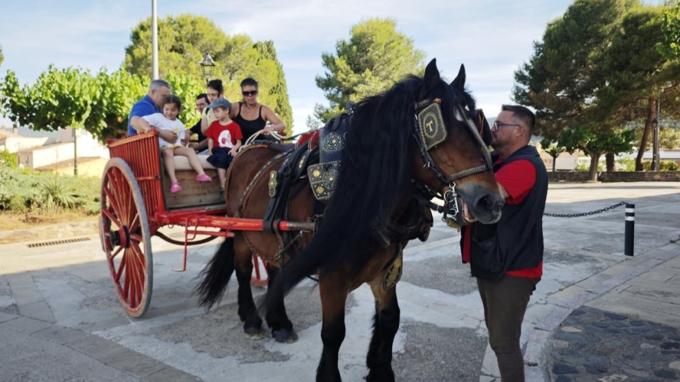 Passejades amb carro a la Serra de Montblanc