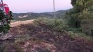 Incendi a la vorera de la carretera a Vallverd de Sarral