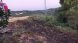 Incendi a la vorera de la carretera a Vallverd de Sarral 