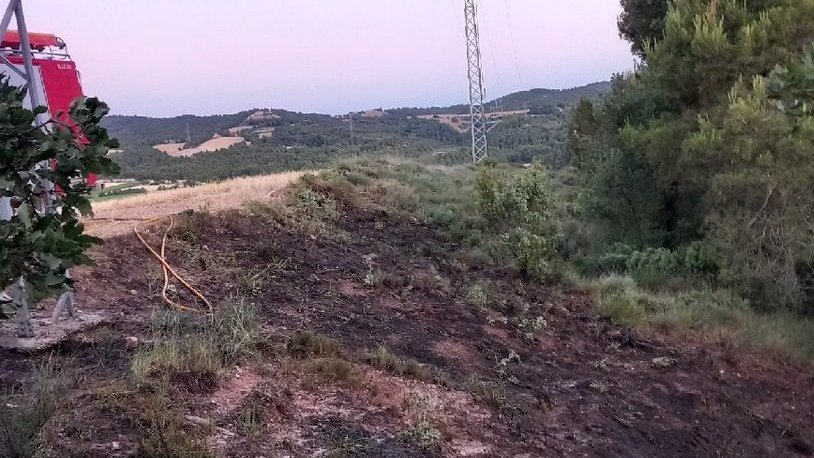Incendi a la vorera de la carretera a Vallverd a Sarral