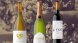 Els Decanter reconeixen l'excel·lència de Domenio amb nou medalles internacionals