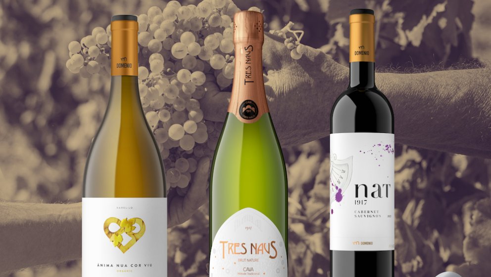 Els Decanter reconeixen l'excel·lència de Domenio amb nou medalles internacionals